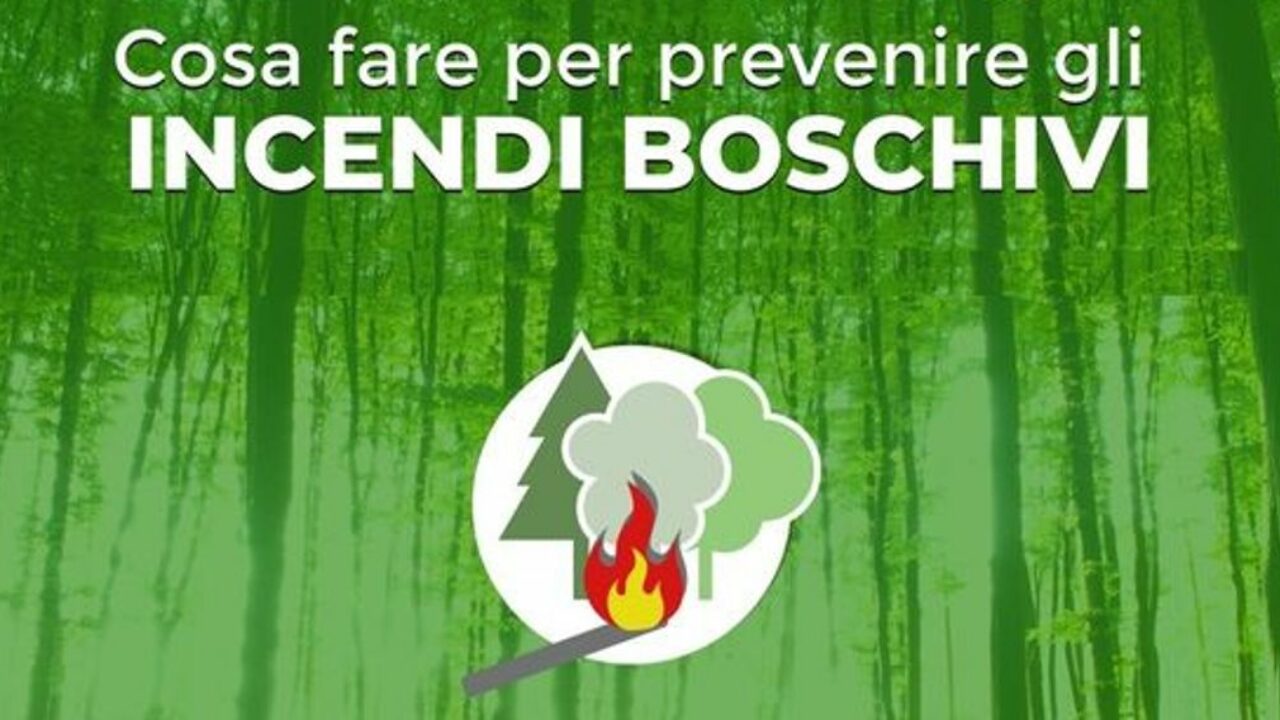 Campagna informativa sulla prevenzione e l’attività repressiva antincendi boschivi a cura del Comando Provinciale Carabinieri e del Gruppo Carabinieri Forestale